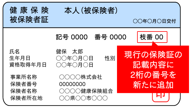 保険証 見本