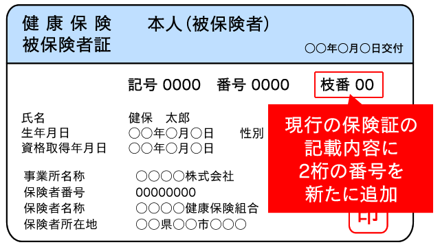 保険証　見本